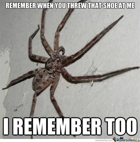 Memes / Spider